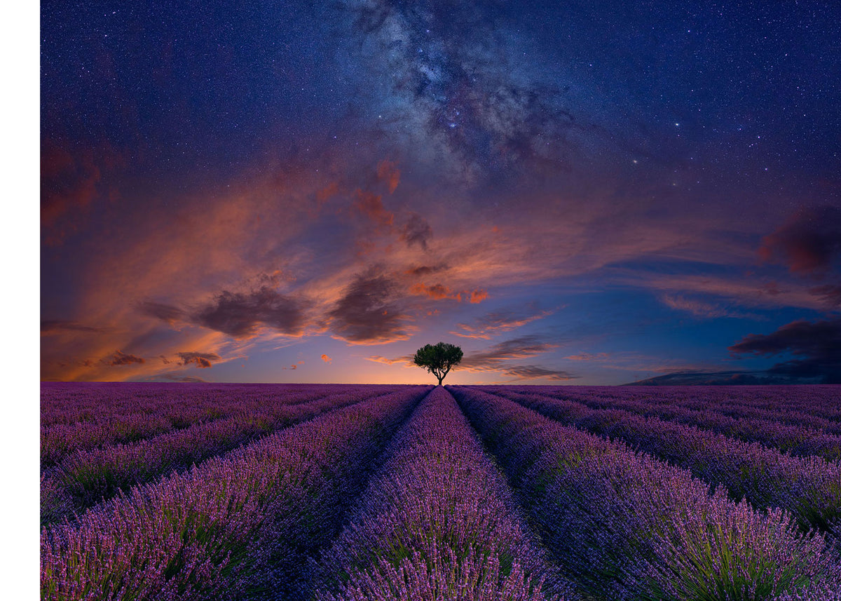 Peter Lik Limited Edition Photograph of a lavender field with purple rows of bushes leading to a single tree on the glowing horizon under the cloud and star filled evening sky.