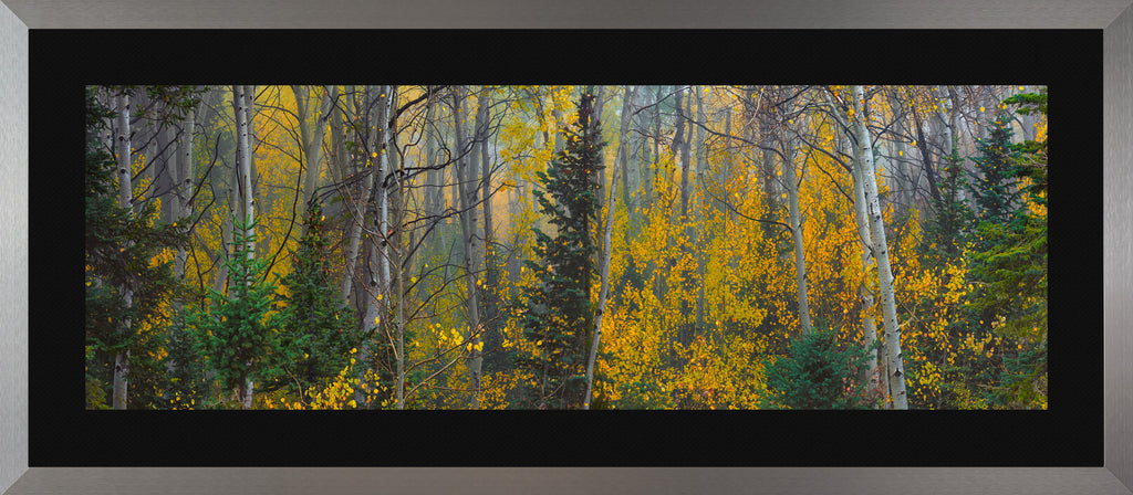 Emerald Haze – Misty Forest Fine Art Photography