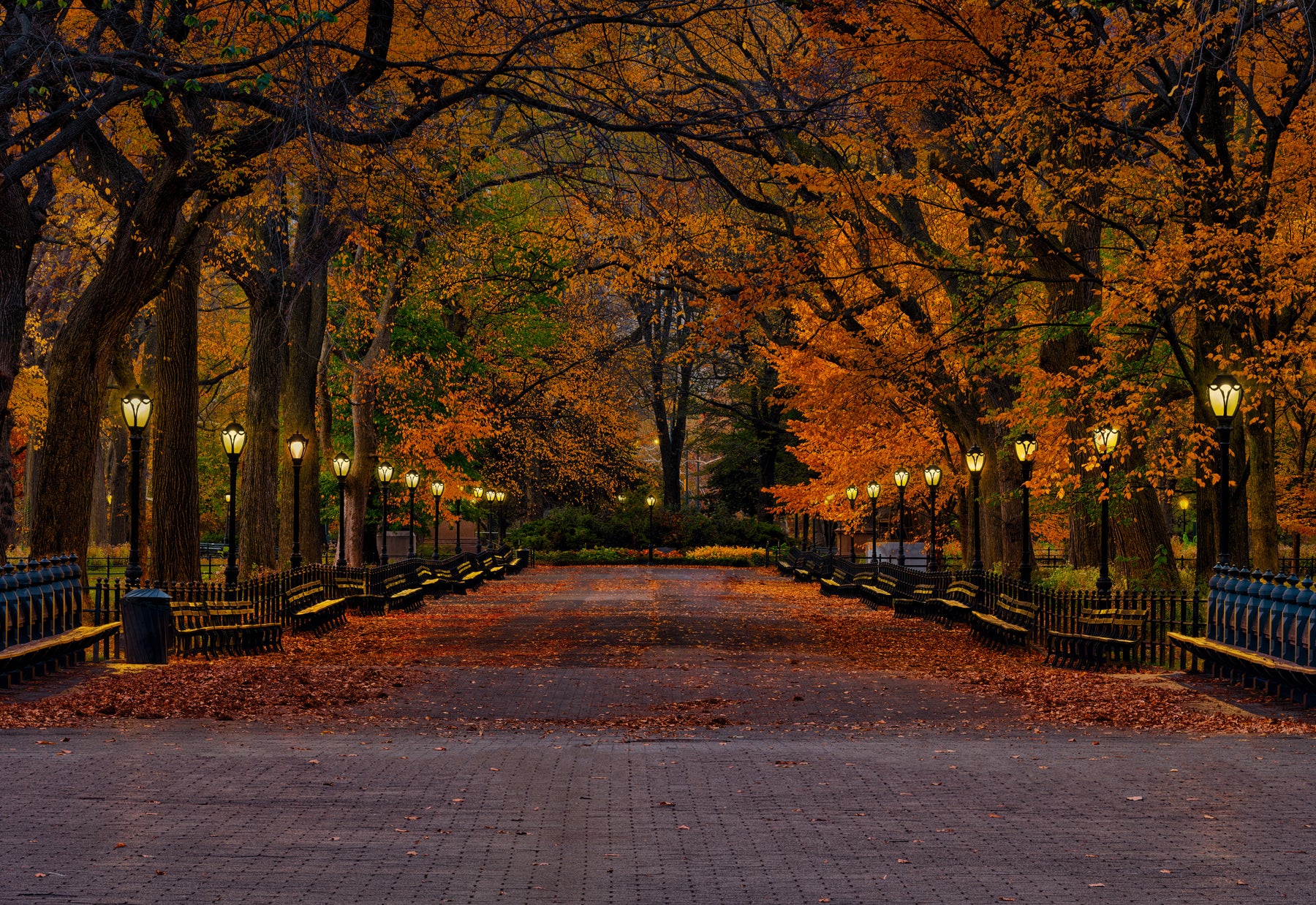 Photograph by Peter Lik titled Evening in the Park | LIK Fine Art