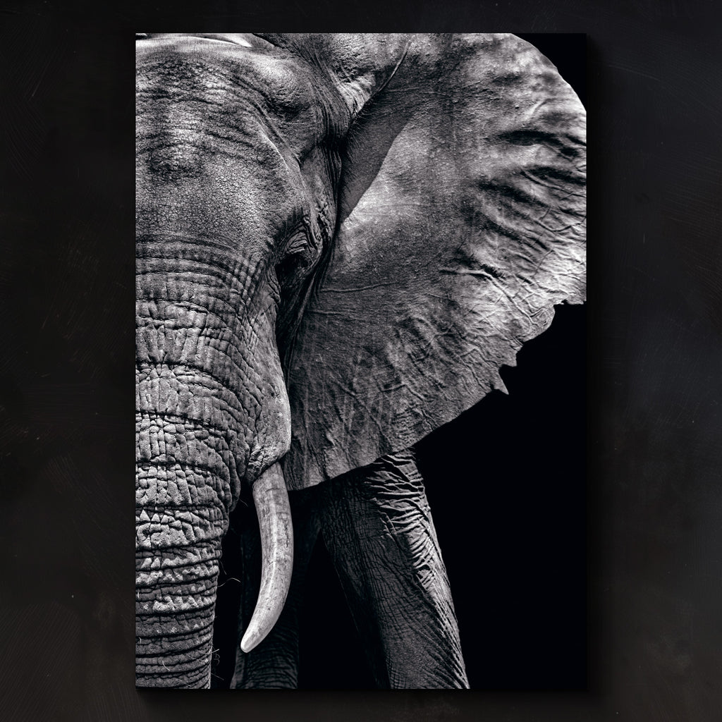 Fearless Fine Art Photograph by Peter Lik - Main Image