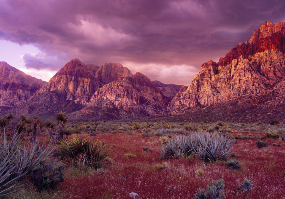 Brush filled desert below the cloud covered sandstone peaks of Red Rock Canyon Nevada 