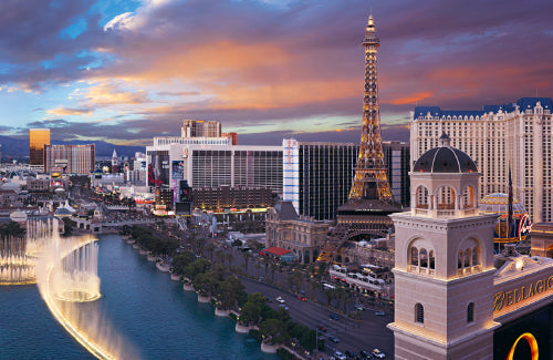 Photograph of Snow covered yucca plants desert floor and mountains of Red Rock Canyon Nevada. | LIK Fine Art