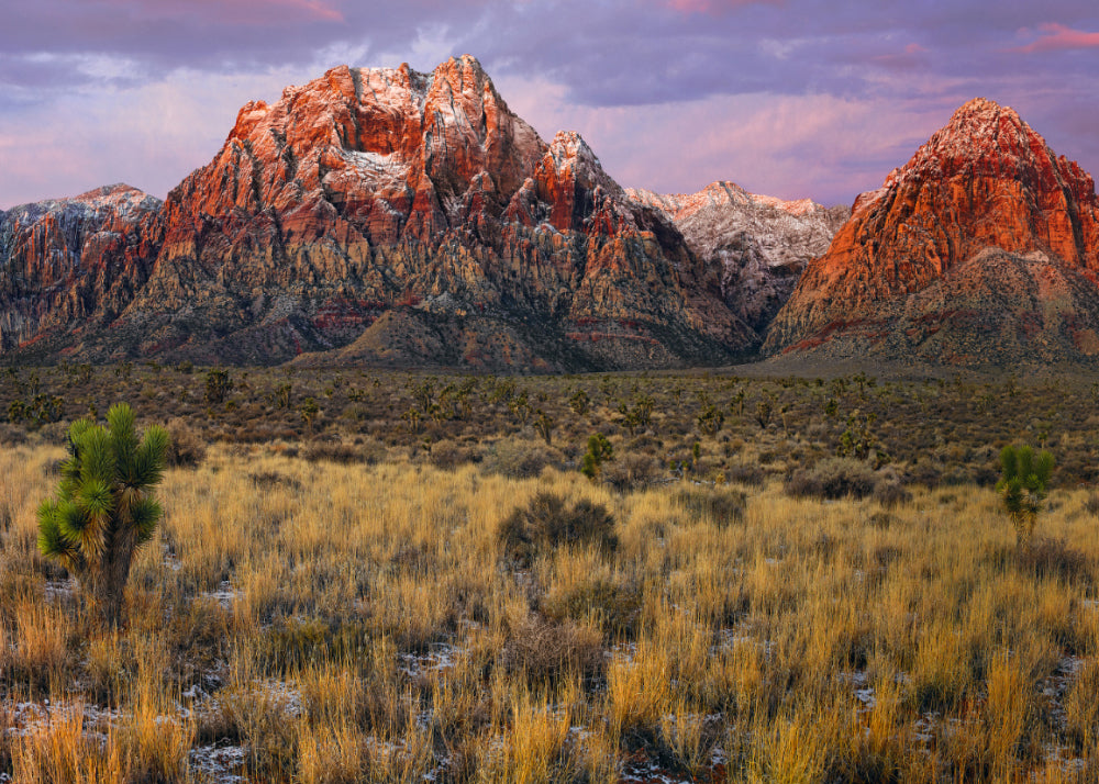 Grass and brush filled desert valley in front of the snow covered mountians of Red Rock Canyon Nevada