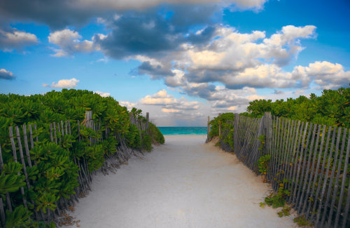Palm trees on the white sand beaches of Islamorada Florida during a pink and purple sunset
