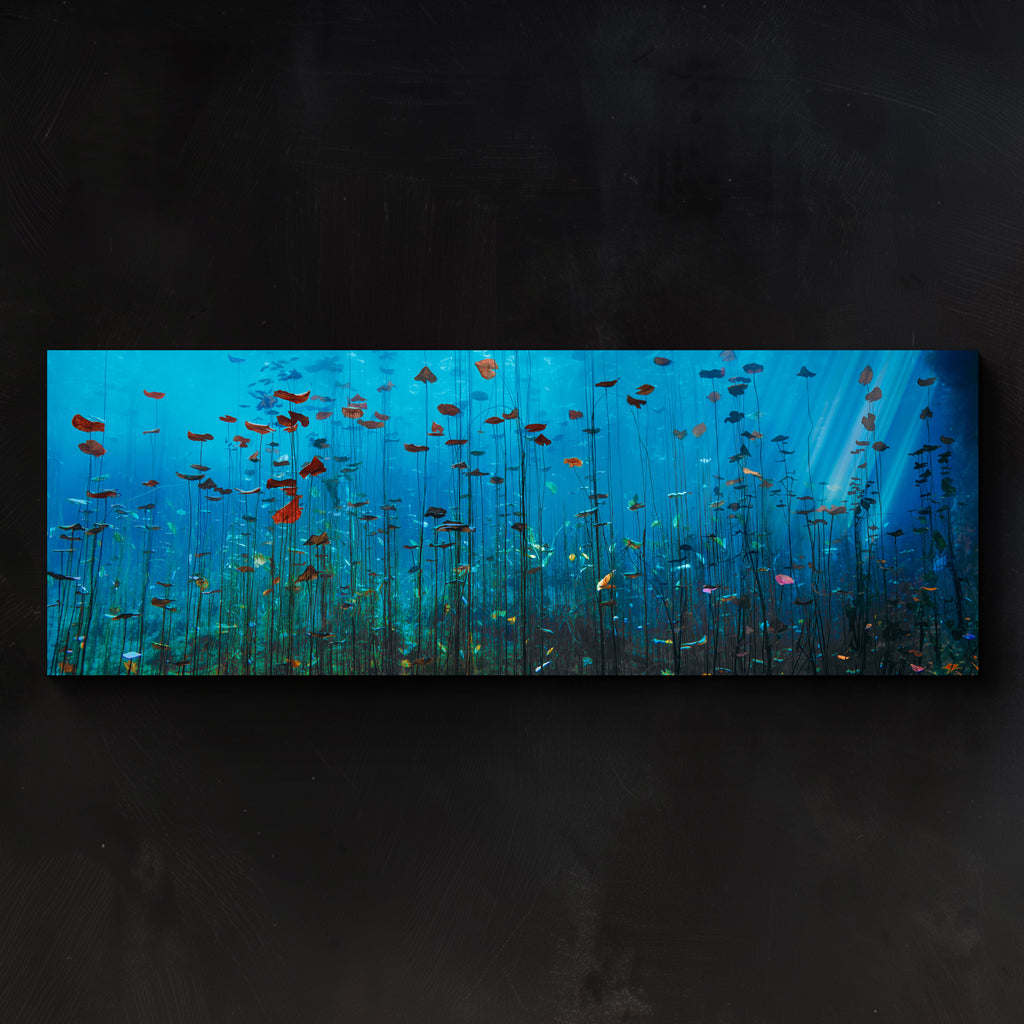 Peter Lik - Lilies of the Secret Waters | Fine Art Photograph