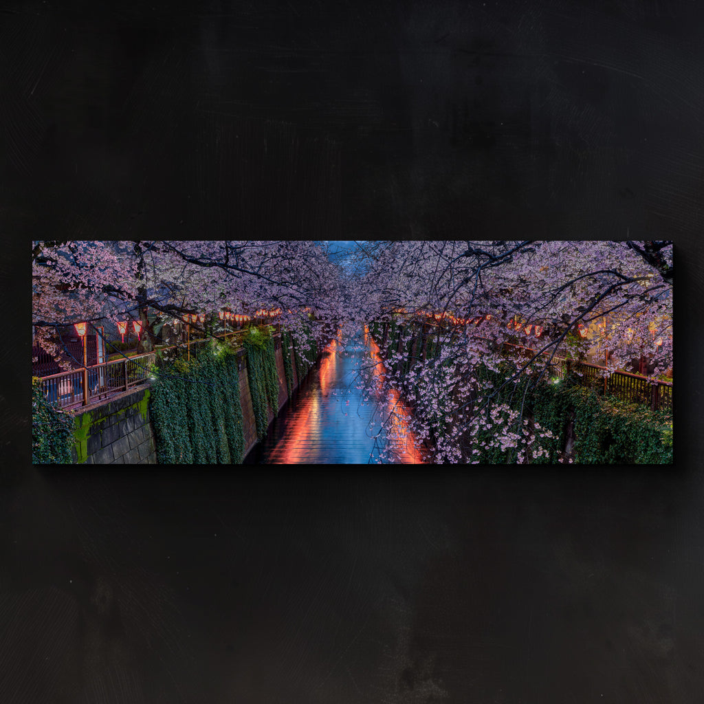 Sakura Dreams – Cherry Blossom Photography Japan | Peter Lik