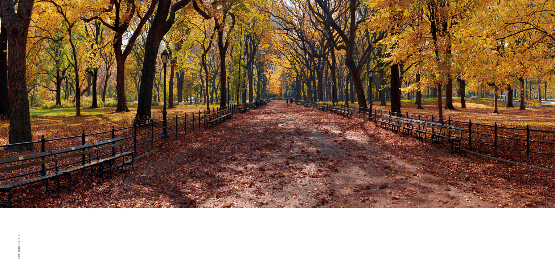 Peter Lik panoramic photograph of Central Park in New York City in Autumn with yellow trees 