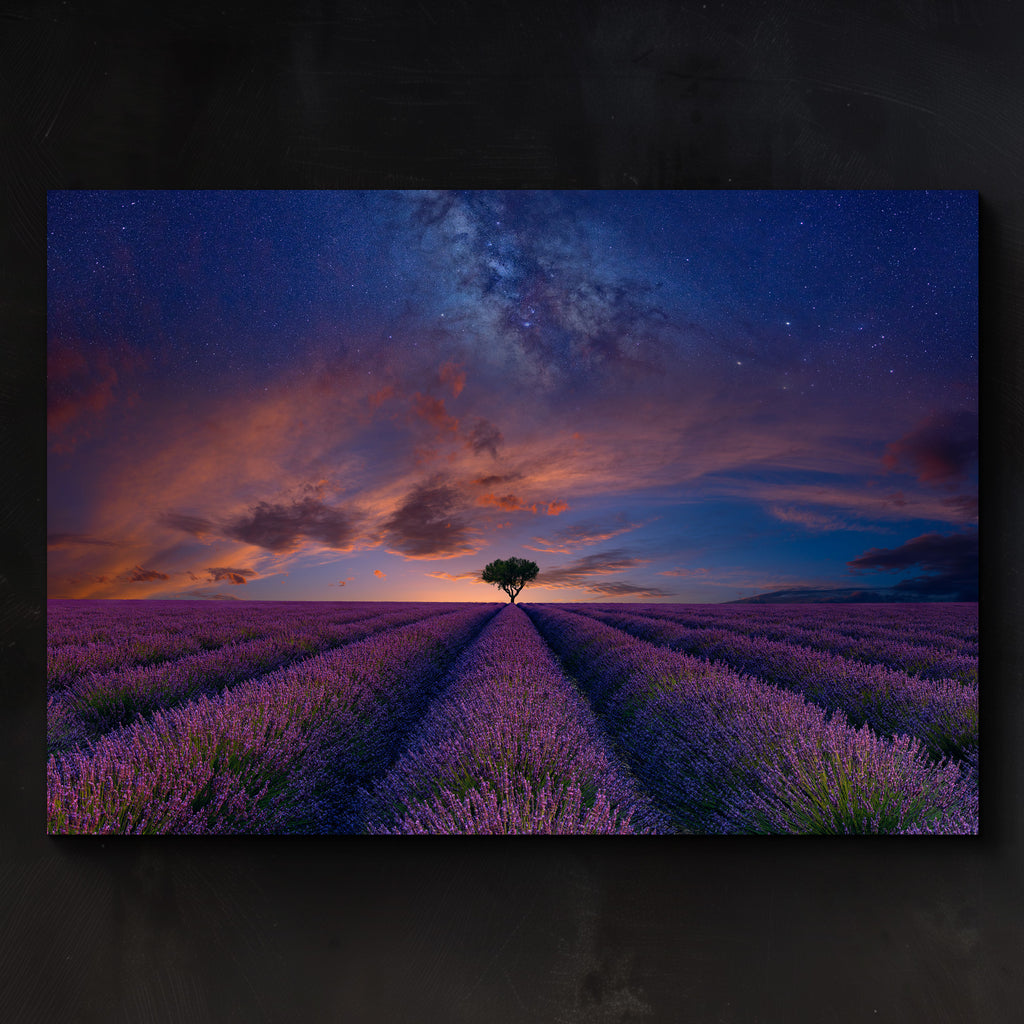 Peter Lik Art Photography（絵画） Enigma | Fine Art Photograph by Peter Lik