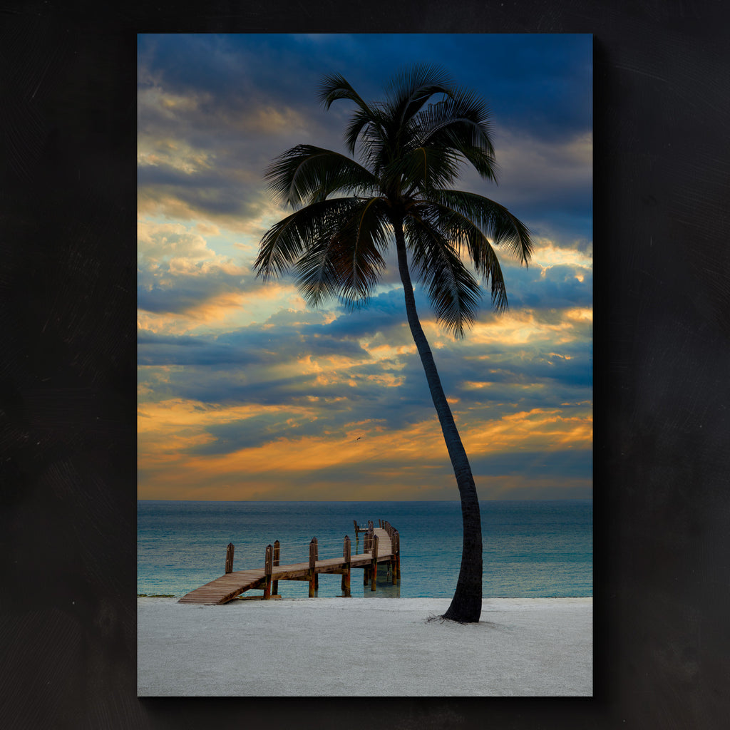 palm dream coconut water Tropical Dream