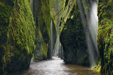 Sun light shining into the moss covered rock walls of the Columbia River Gorge and the river flowing beneath