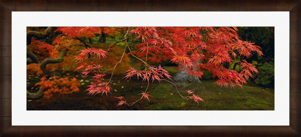 Autumns Flame - Fine Art Photograph By Peter Lik