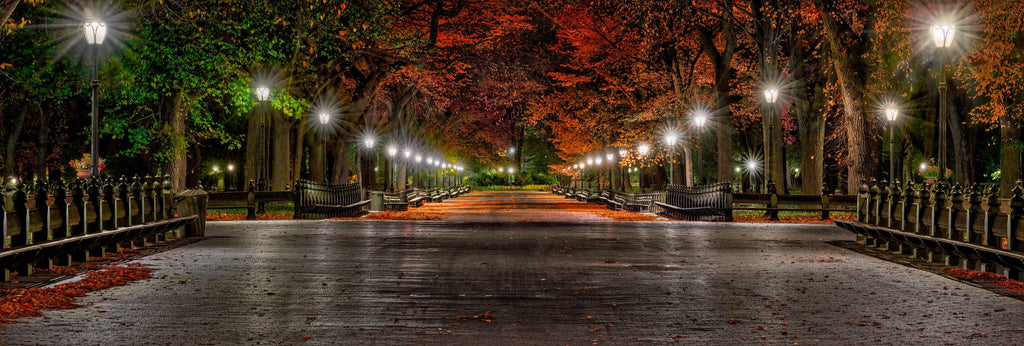 Boulevard of Dreams - Fine Art Photograph by Peter Lik