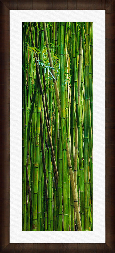 Art Print of Green stems of bamboo forest