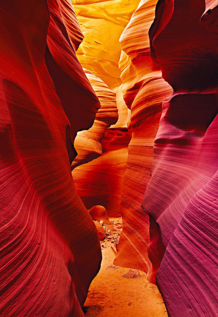 Eagle Eye  Fine Art Photograph by Peter Lik