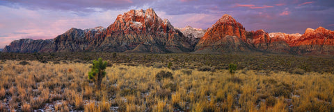 Grass and brush filled desert valley in front of the snow covered mountains of Red Rock Canyon Nevada 