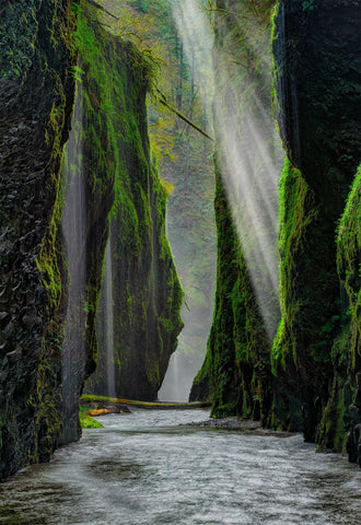 Photograph from Peter Lik of a river cutting through a canyon titled Hidden Mirage | LIK Fine Art