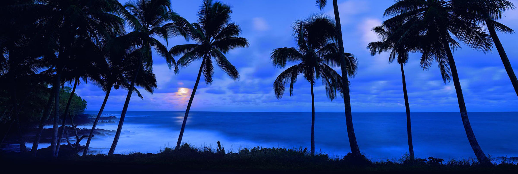 Palm tree silhouettes on a beach in Kapoho Hawaii with the moon glowing through the clouds in the distance