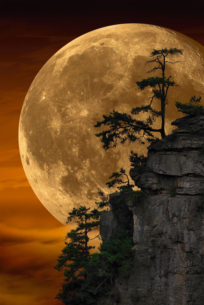 Peter Lik - Moonlit Dreams | Fine Art Photograph
