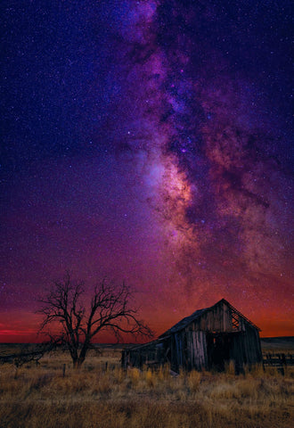 Old wooden shack and tree in a grass field at night under a sky filled with stars 
