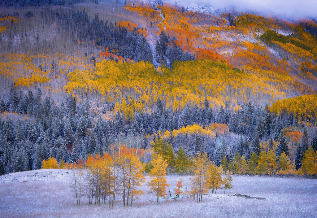 ダイヤモンドアートクラブ A BeautifulMorning in Aspen Fall Colors