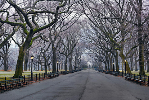 Bench lined path leading through the leafless trees in Central Park New York