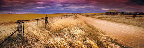 Dirt road running along a fenced wheat field in Burra Australia with an old house in the background