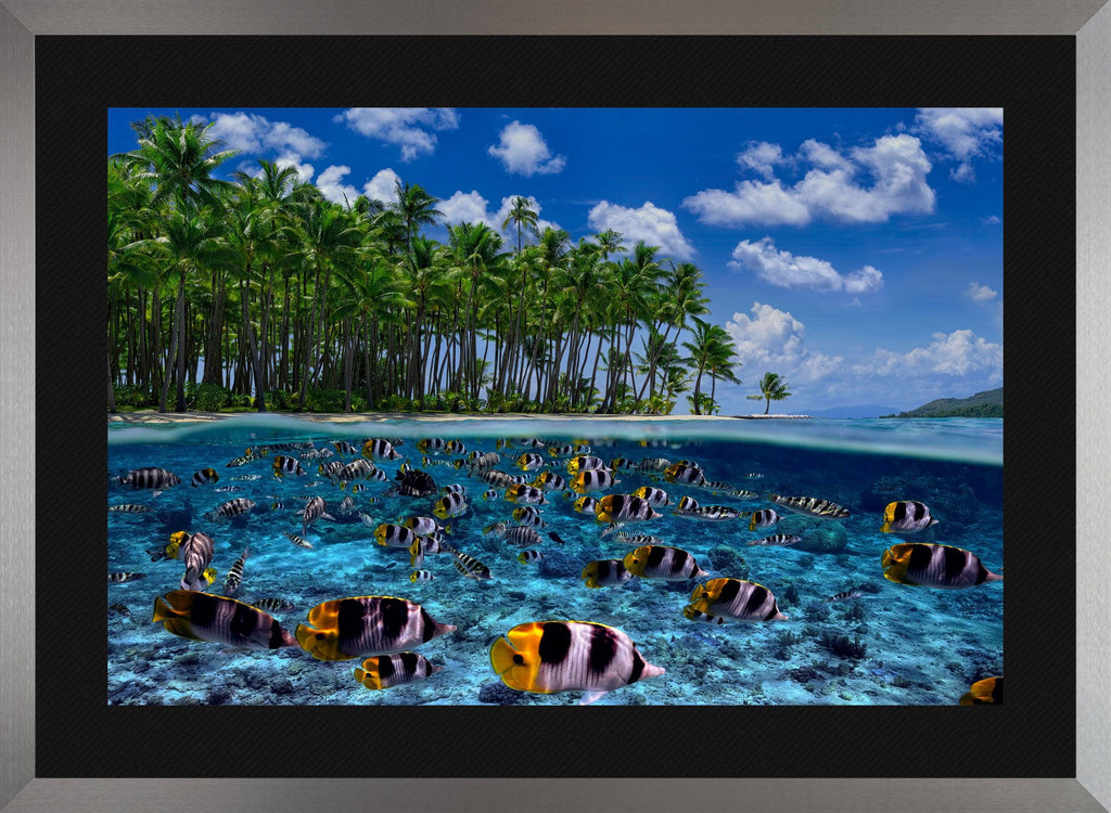 PETER LIK ピーターリック アクリルフォト TRANQUIL BLUE - 美術品