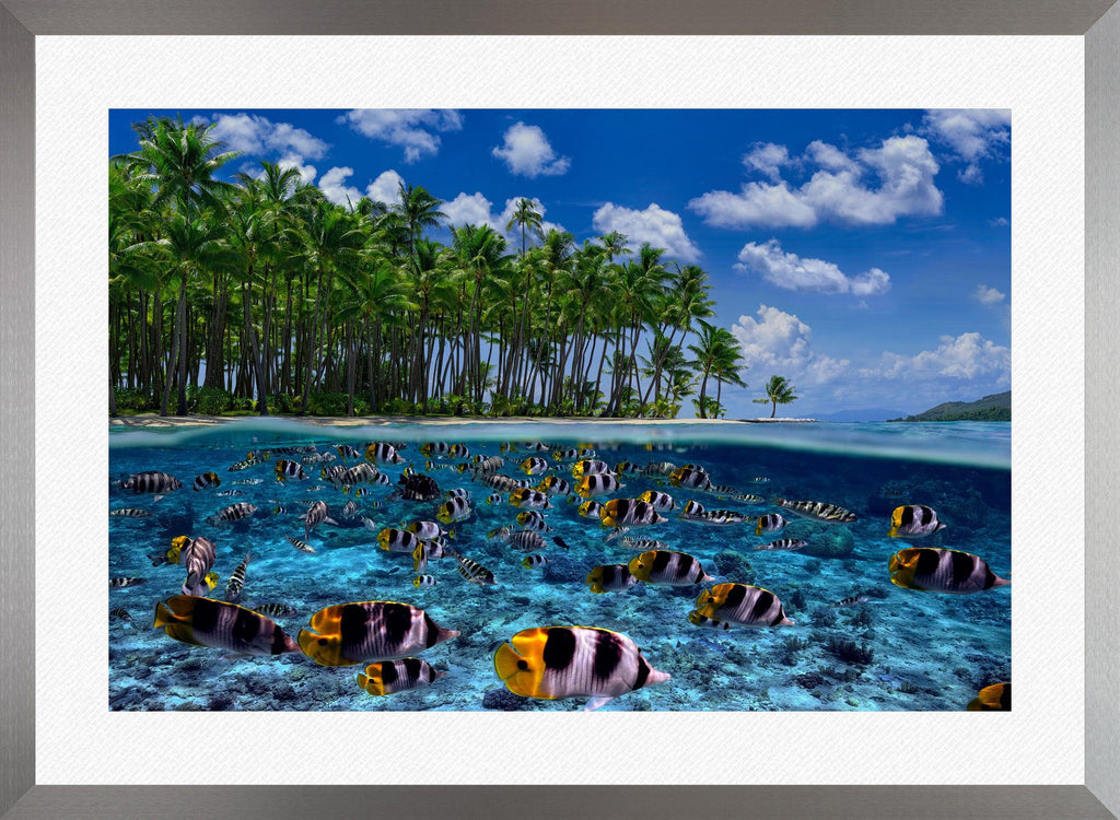 PETER LIK ピーターリック アクリルフォト TRANQUIL BLUE - 美術品