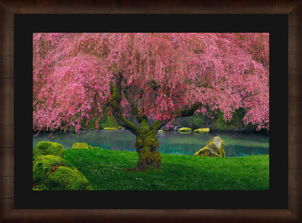 【希少】六本木夢物語　dreams of six trees 希少】六本木夢物語 dreams of six trees Amazon.com: Ten Nights of