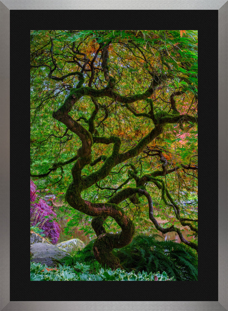 Tree of Endurance | Fine Art Photograph by Peter Lik