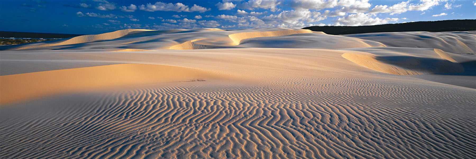Sand dunes in front of a cloudy blue sky on Fraser Island Australia