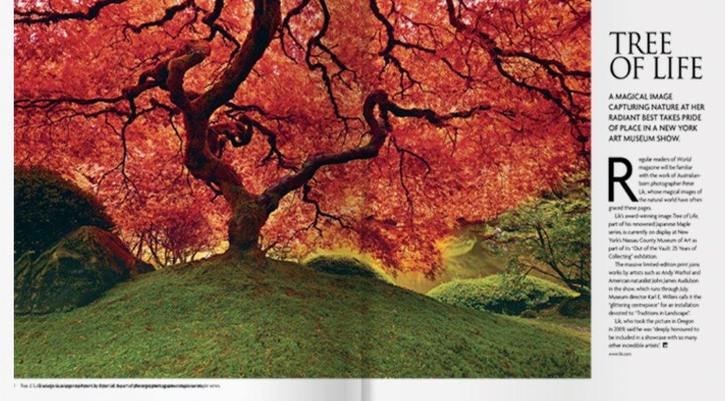 Peter Lik’s Current Tree of Life Display Recognized by World Magazine