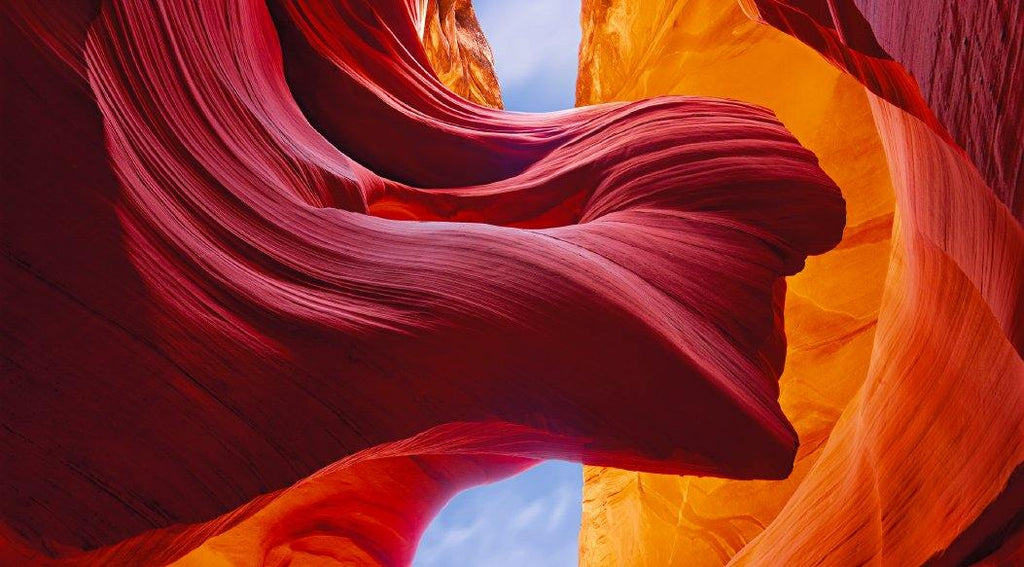 Peter Lik's Newest Masterwork Eternal Beauty Quickly Becomes a Collector Favorite!