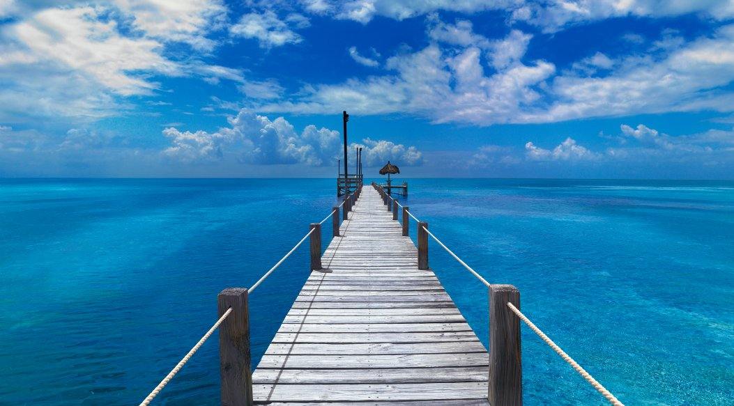 Beyond Paradise Garners $80,000 at Christie’s Green Auction