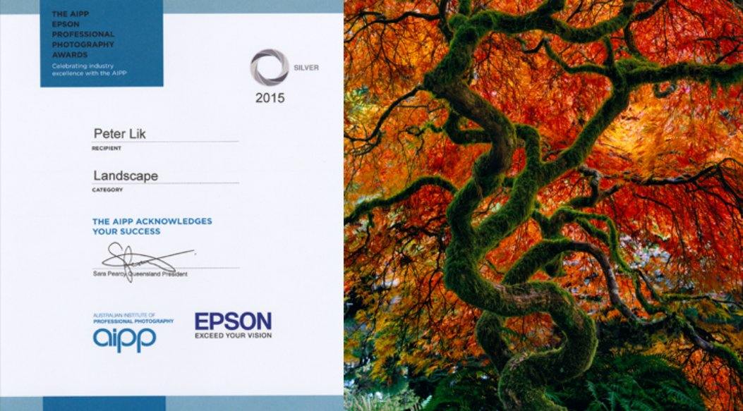 Peter Lik Receives Four Silver Awards from AIPP Queensland