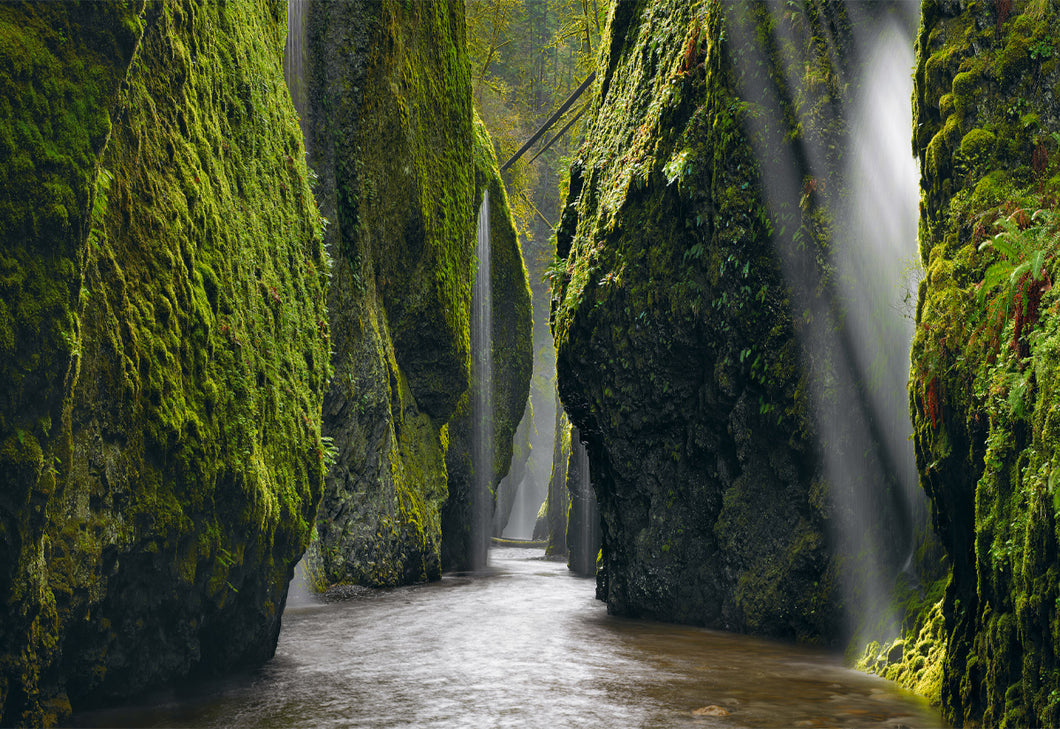 An Introduction to Landscape Photography with Peter Lik