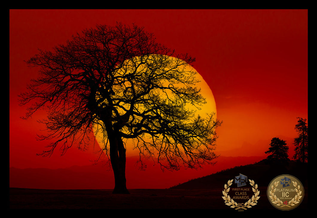 Peter Lik Wins at the 10th Annual MPI IIC Awards