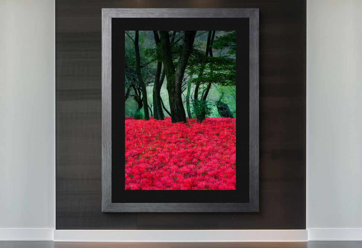 How to Style Colorful Wall Art & Make It Pop in Your Space