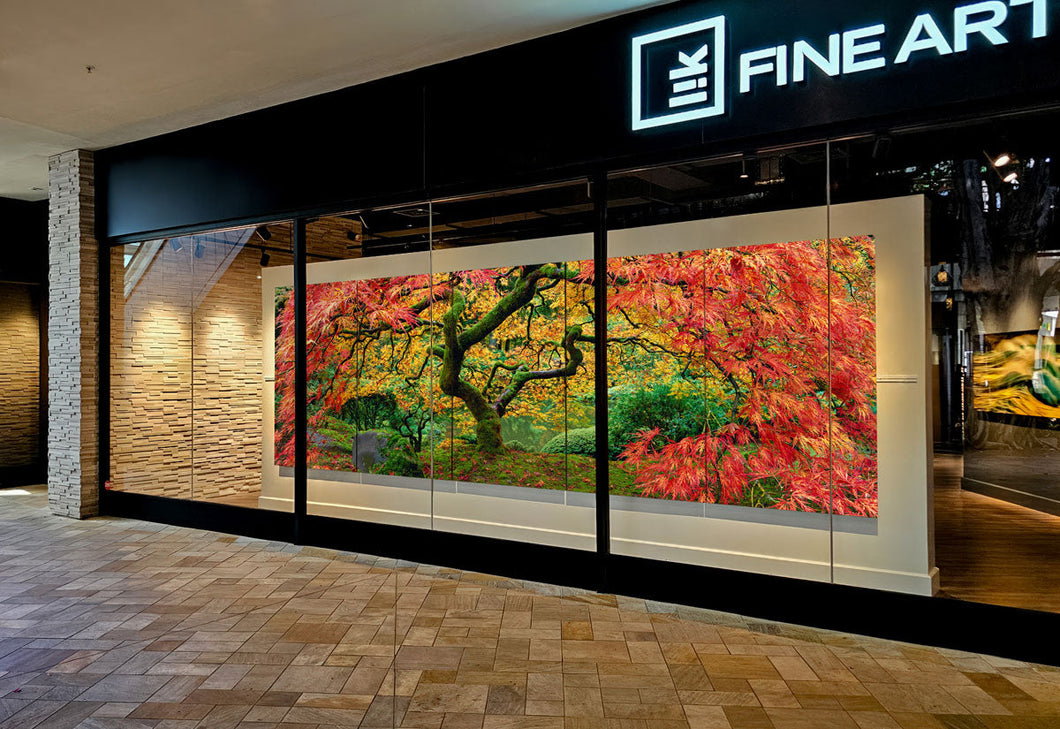 Introducing LIK Fine Art Hawaii: Discover Our New Waikiki Gallery