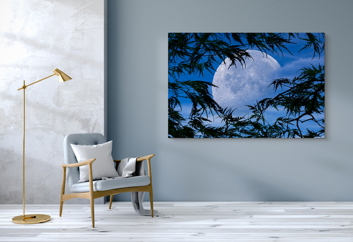 The Psychological Benefits of Fine Art in Your Home