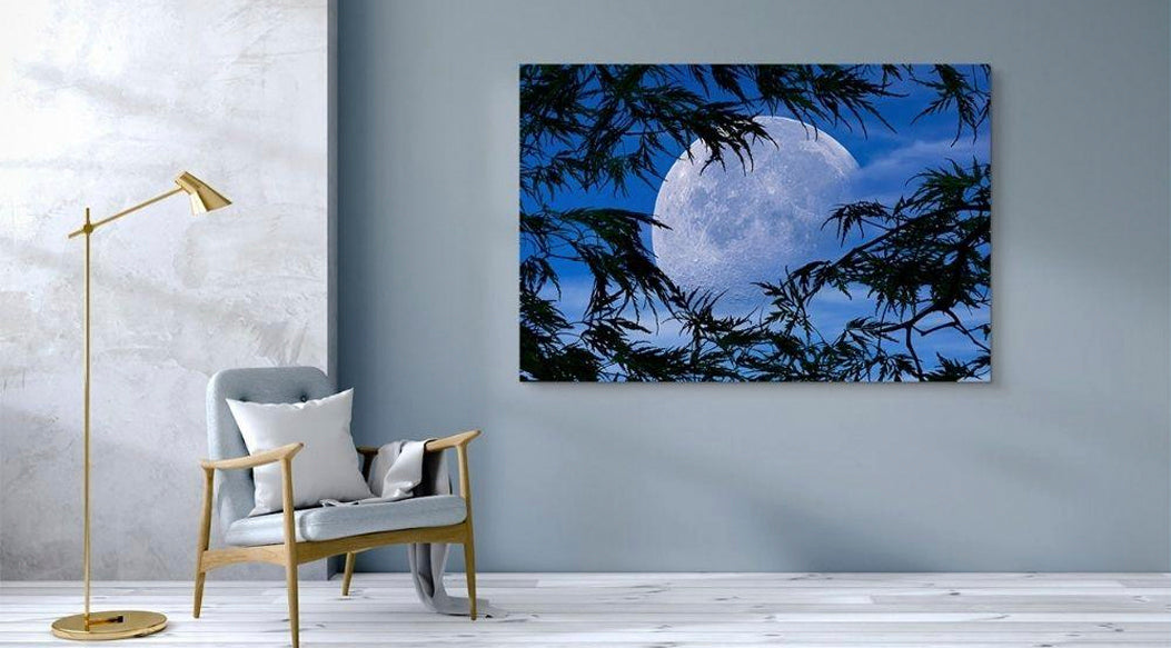 The Psychological Benefits of Fine Art in Your Home