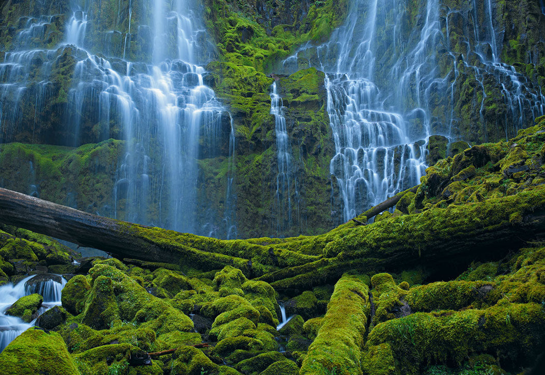 The Psychology of Green For Mood and Interior Spaces