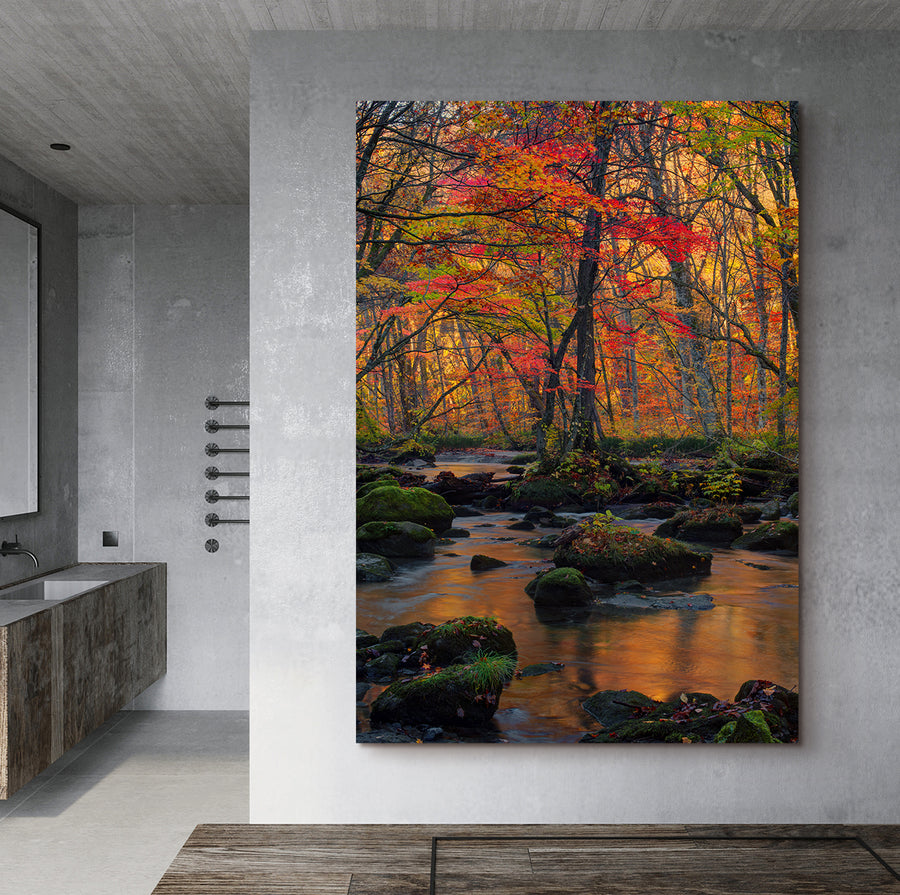 Large vertical image of a creek with rocks and green moss with colorful trees during Autumn photographed by Peter Lik hanging on the wall of an urban loft