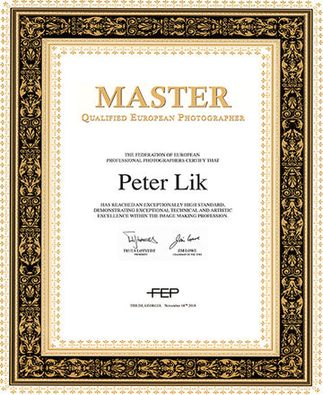 Federation of European Photographers, Master of Photography Award, presented to Peter Lik in 2018.