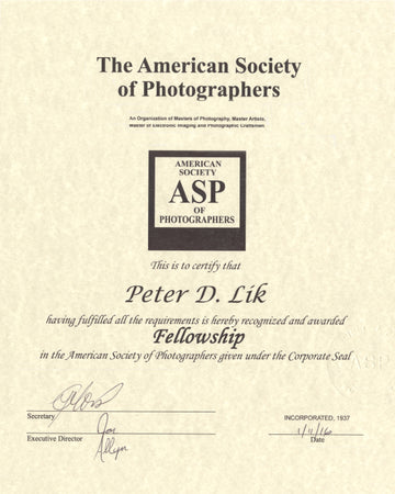 The American Society of Photographers, Fellowship Award, presented to Peter Lik in 2016.