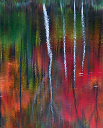 Reflection of trees on the water captured on the Androscoggin River in New Hampshire.