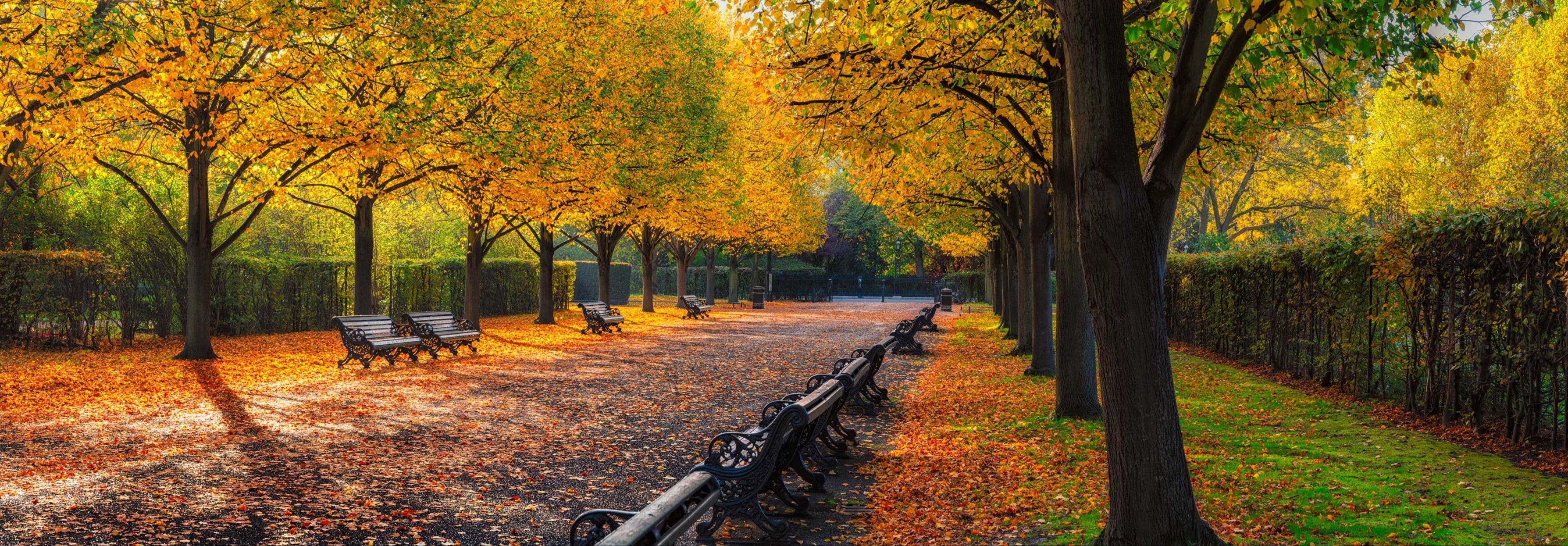 Peter Lik photograph of The Regent's Park in London; a pathway lined with benches and autumn trees in autumn.