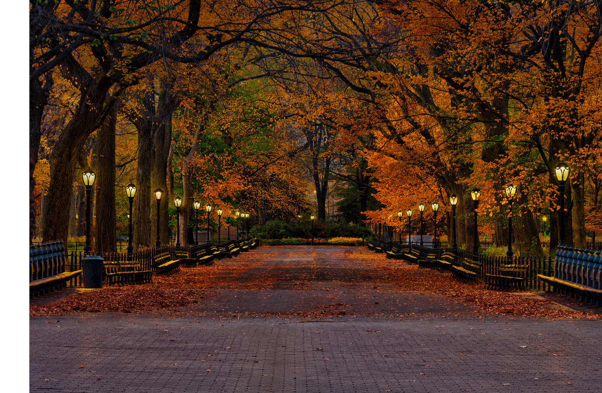 Peter Lik Fine Art Photography