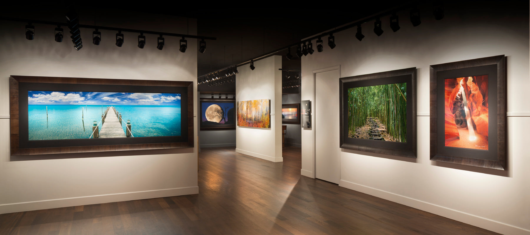 LIK Fine Art Gallery interior with white and gray walls and brown wood floors displaying framed photography by Peter Lik