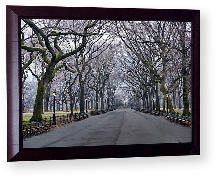 Fine Art photograph by Peter Lik of New York’s Central park with benches and bare bark trees in a dark brown frame